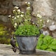 image 3 of Antique Bronze Coloured Mouse Pot Buddy Plant Pot Hanger - L10.5 x W4.5 x H5 cm