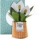 image 5 of Contemporary Peace Lily Plant Design Pop Up Card