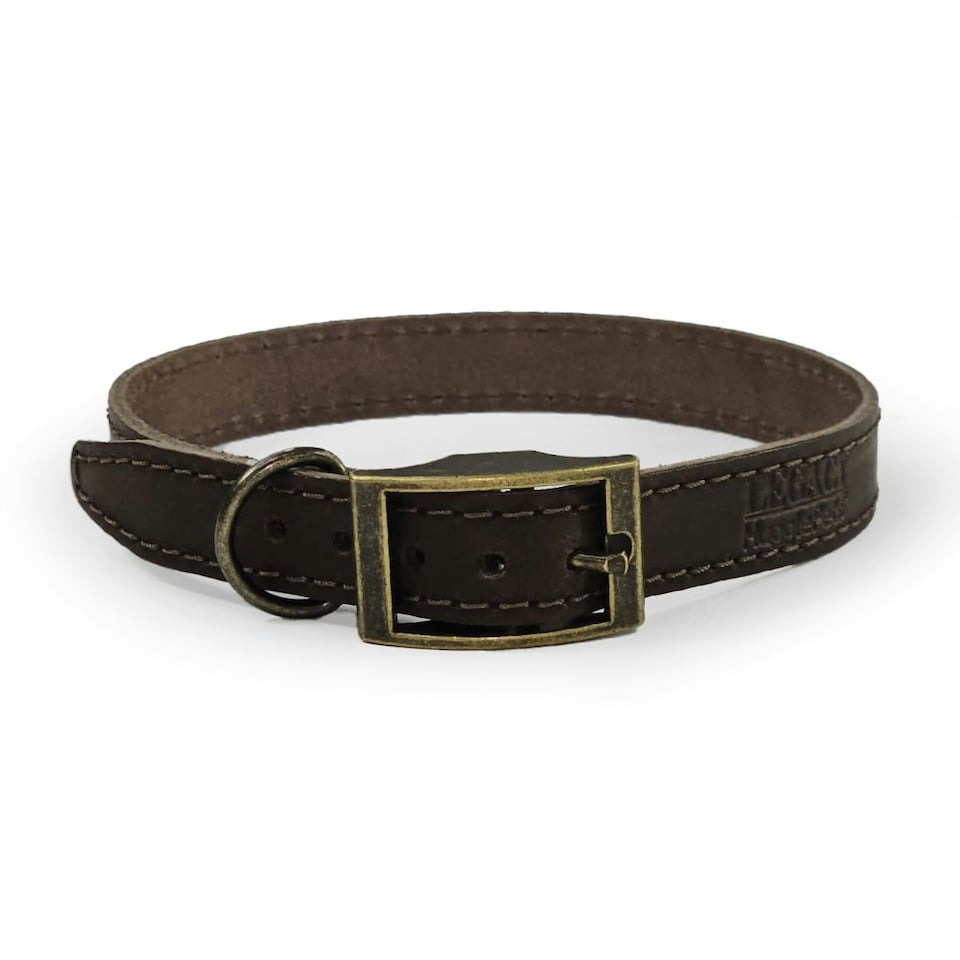image 1 of HugglePets Legacy Leather Dog Collar - Chocolate Brown | M