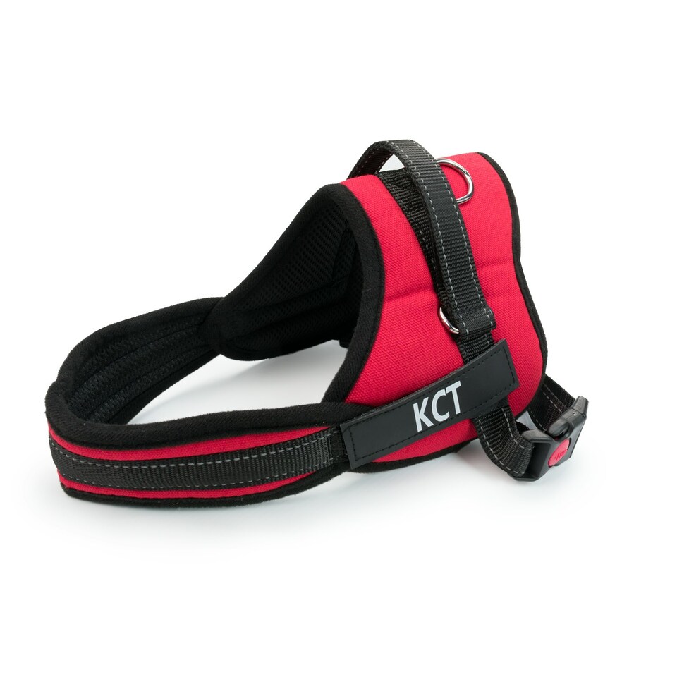 image 1 of KCT Large Red Padded Dog Harness Red | L