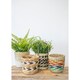 image 5 of KitchenCraft Plant Basket Mixed Seagrass Striped Multi