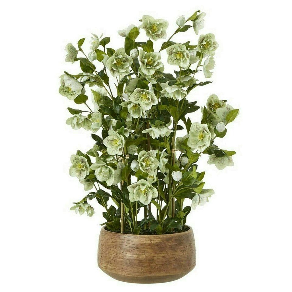 image 1 of Large Hellebore in Pot - Plastic - L52 x W52 x H85 cm - Green/Taupe