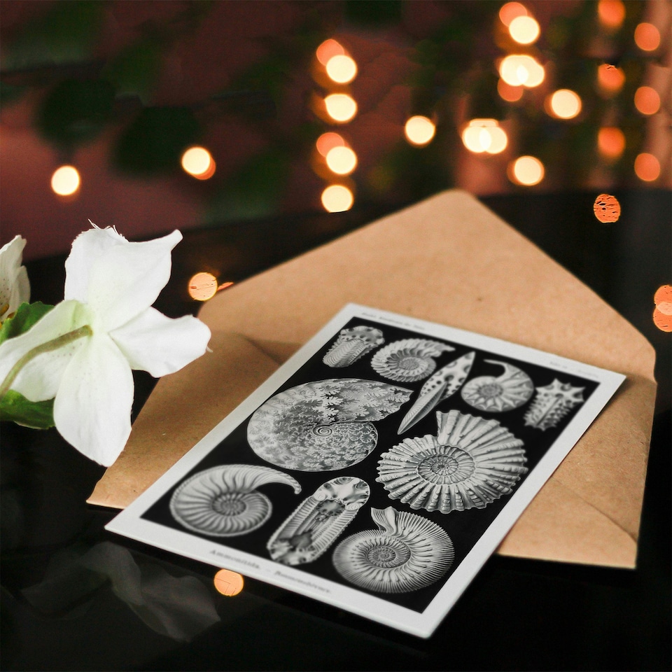 image 1 of Ernst Haeckel Art Card Ammonite Fossil Cephalopods