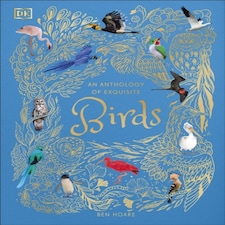 An Anthology Of Exquisite Birds