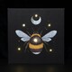 image 1 of Something Different Forest Bee Light Up Canvas - Black/Yellow - One Size