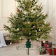 image 2 of Holly International Traditional Metal Scroll Leg Christmas Tree Stand for Real Trees to 2m - Green
