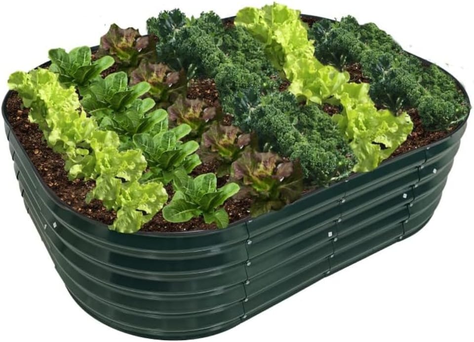 image 1 of Galvanised Metal Raised Vegetable Flower Planter Trough Grow Bed Box Set up Six Shapes Outdoor Herb Garden in Hunter Green (x2) | Green
