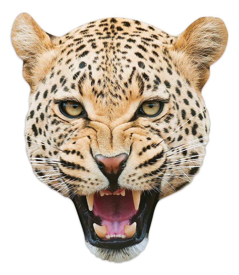 image 1 of Leopard Animal Cardboard Face Mask