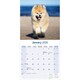 image 3 of Akita 2026 Calendar | Square Wall Calendar | Dog Breed Gift | Plastic Free Packaging | by Avonside Publishing