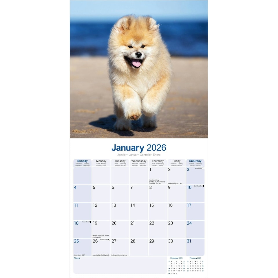 image 1 of Akita 2026 Calendar | Square Wall Calendar | Dog Breed Gift | Plastic Free Packaging | by Avonside Publishing