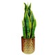 image 3 of Honeycomb Metal Planter - Gold - 18cm x 15.5cm Gold