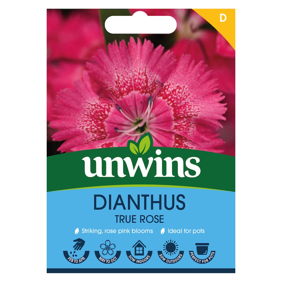 image 1 of Dianthus True Rose | Multi | White, Pink, Red | Flower Seeds | 1