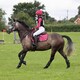 image 8 of Shires ARMA Hyde Park Saddlecloth - Young Rider N/A | Colour: Doodle
Size: 14 Inch