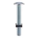 image 1 of Timco - Roofing Bolts & Square Nuts - Zinc (Size M6 x 100 - 2 Pieces)