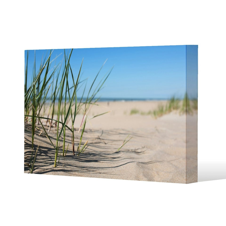 image 1 of Grass in the sand dunes with the lake in the background (Canvas Print)