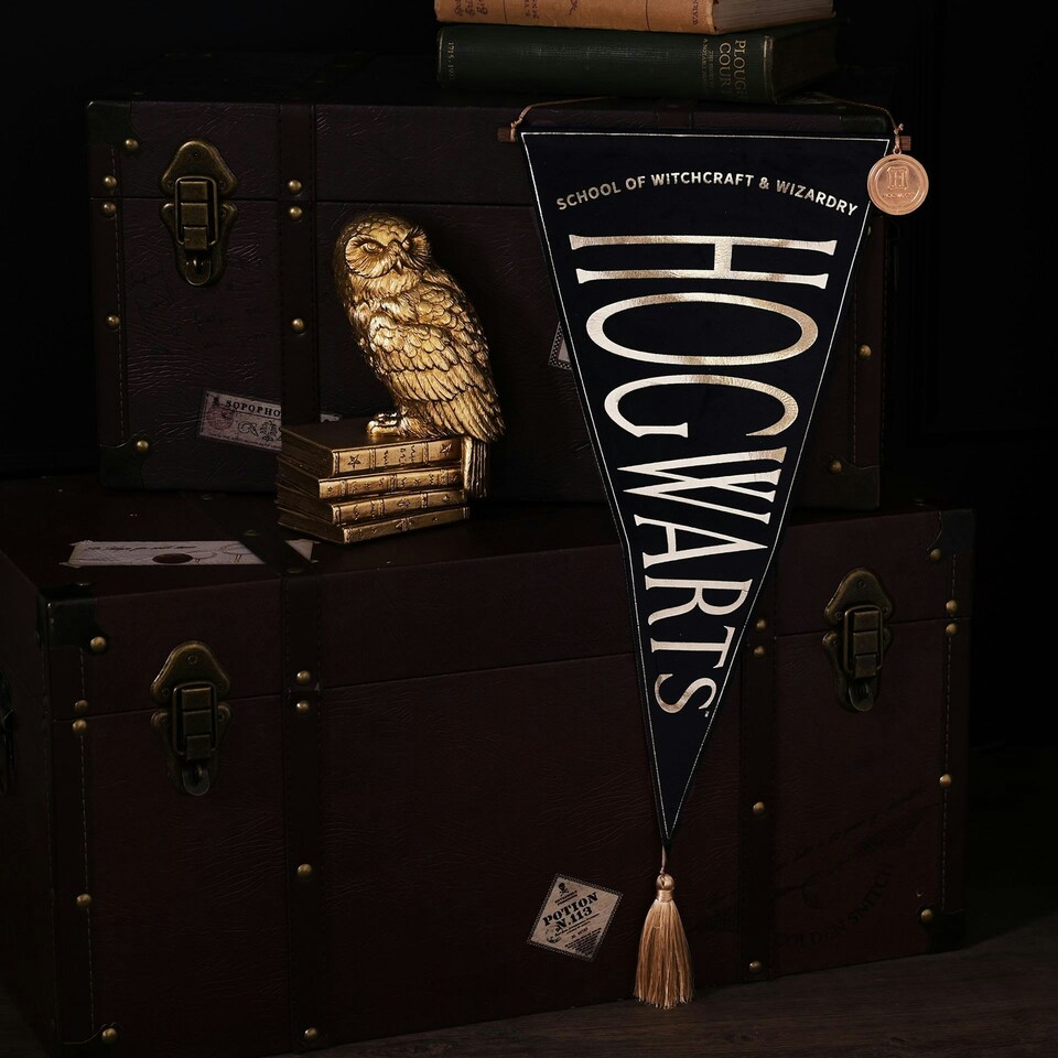 image 1 of Warner Bros Harry Potter Alumni Hanging Banner Hogwarts