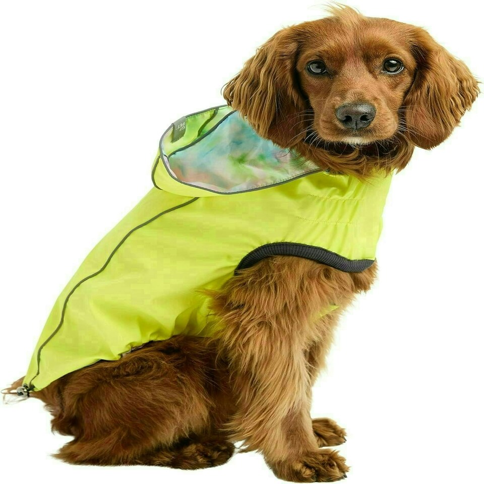 image 1 of GF Pet Dog Raincoat Elasto-Fit Reversible Coat for Dogs Waterproof Hooded Jacket - Neon Aqua & Iridescent - Medium