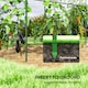 image 5 of Outsunny Tomato Greenhouse with Top Tap, Pointed Bottom and Guy Ropes, Clear