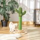 image 6 of PawHut Cactus Cat Tree, 60cm Sisal Scratching Post for Indoor Cats, Green
