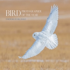 Bird Photographer Of The Year