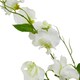 image 2 of The Natural Garden Collection Sweetpea - Artificial Flower (Single Stem) - Plastic - H61 cm - White