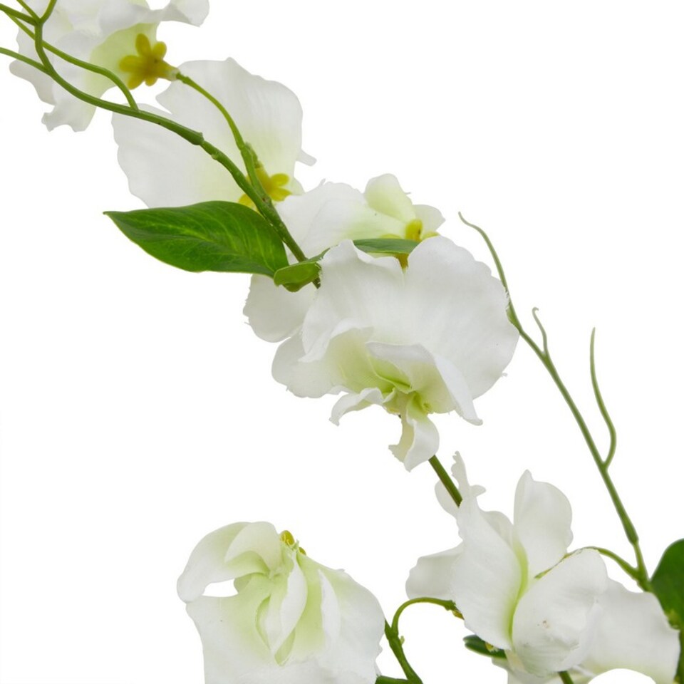 image 1 of The Natural Garden Collection Sweetpea - Artificial Flower (Single Stem) - Plastic - H61 cm - White