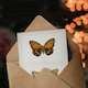 image 3 of Sherman Denton Art Card Regal Fritillary Butterfly