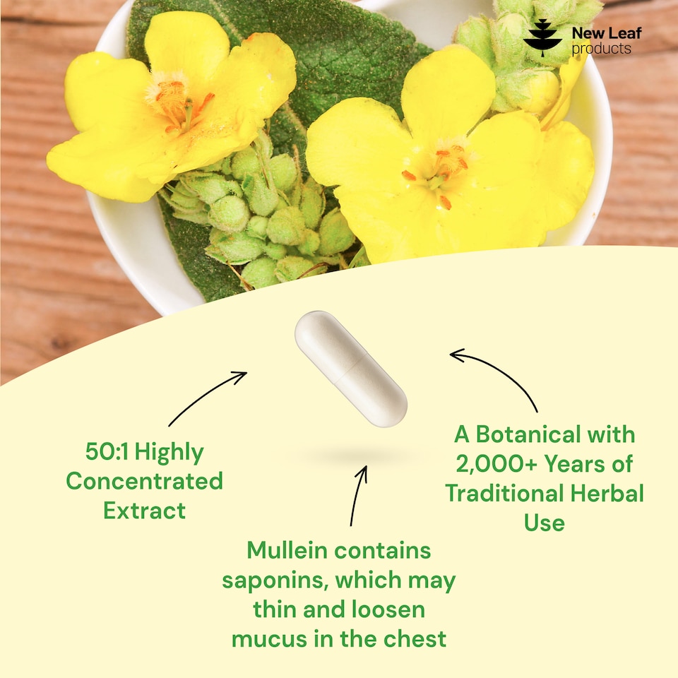 image 1 of Mullein Leaf Capsules - High Strength 15,000mg Per Serving, 120 Capsules
