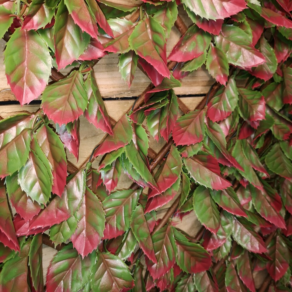 image 1 of 100cm x 200cm Artificial Fence Garden Trellis Privacy Screening Indoor Outdoor Wall Panel - Red Beech Leaf