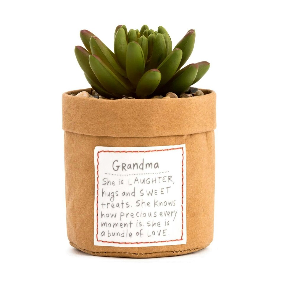 Demdaco Indoor Plant Kindness - Grandma | Brown
