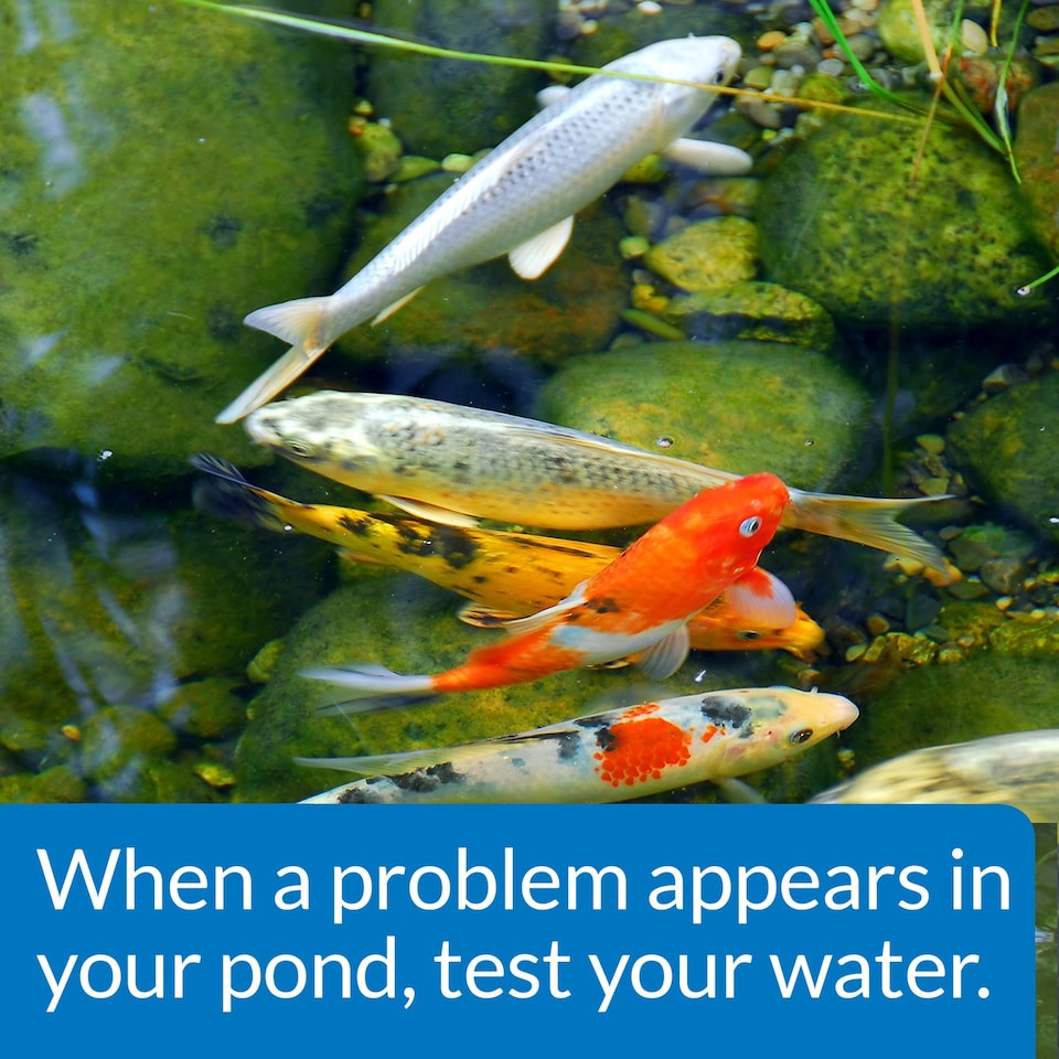 image 1 of API 500 Pond Master Test Kit Tests pH, Ammonia, Nitraite & Phosphate
