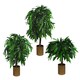 image 5 of 80cm Tall Large Artificial Mango Tree Plant Green | One Size