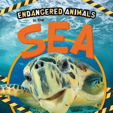In The Sea