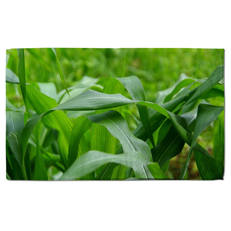 image 1 of Green Leaves corn fields as background Designer Bath Towel | Multi