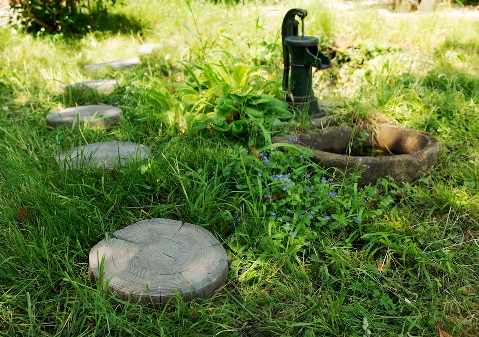 image 1 of Log Shaped Feature Stepping Stone 360mm x 50mm Driftwood - Full Pallet of 20 - Bowland Stone
