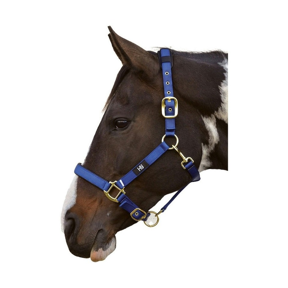 Hy Deluxe Padded Head Collar - Navy - Pony