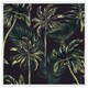 image 1 of Green palm on black (Picutre Frame) White | XL