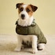 image 5 of Joules Small Khaki Quilted Dog Coat