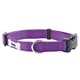 image 9 of Nylon Dog Collar, Middlewood Black | L