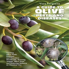 Guide To Olive Pests & Diseases