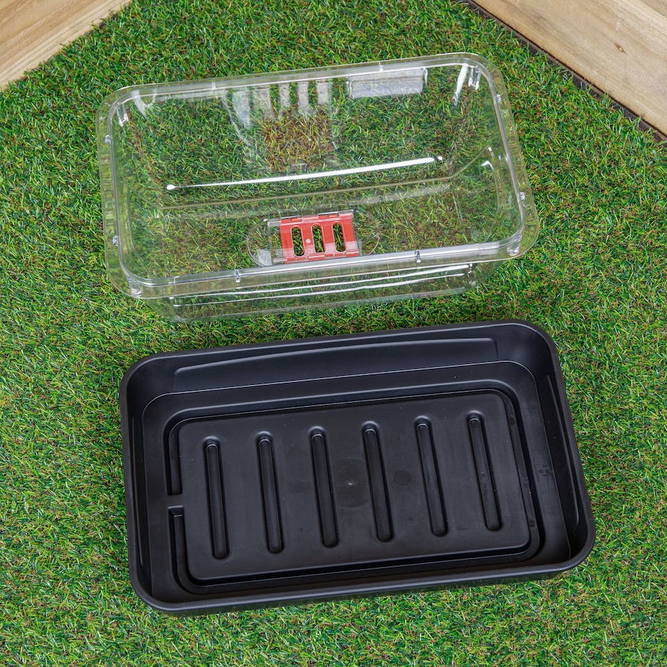 image 1 of 6 x 38cm Unheated Seed Starter Tray Grostart Midi Propagator Indoor Seedling Planter