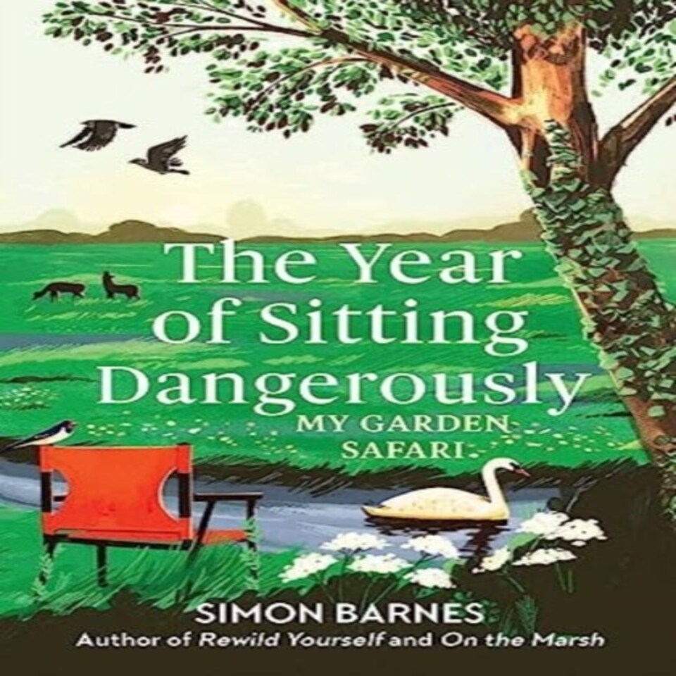 The Year Of Sitting Dangerously