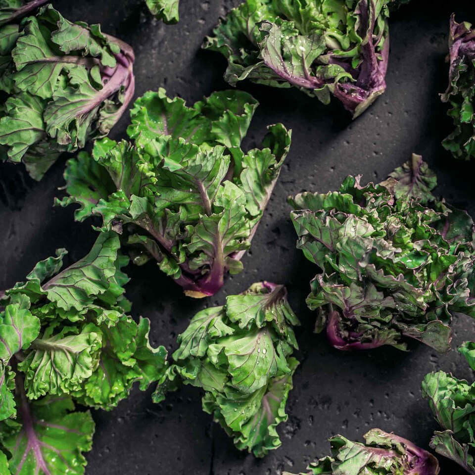 image 1 of Marshalls Garden Flower Sprout F1 Hybrid Brussels Sprout 30 Seeds