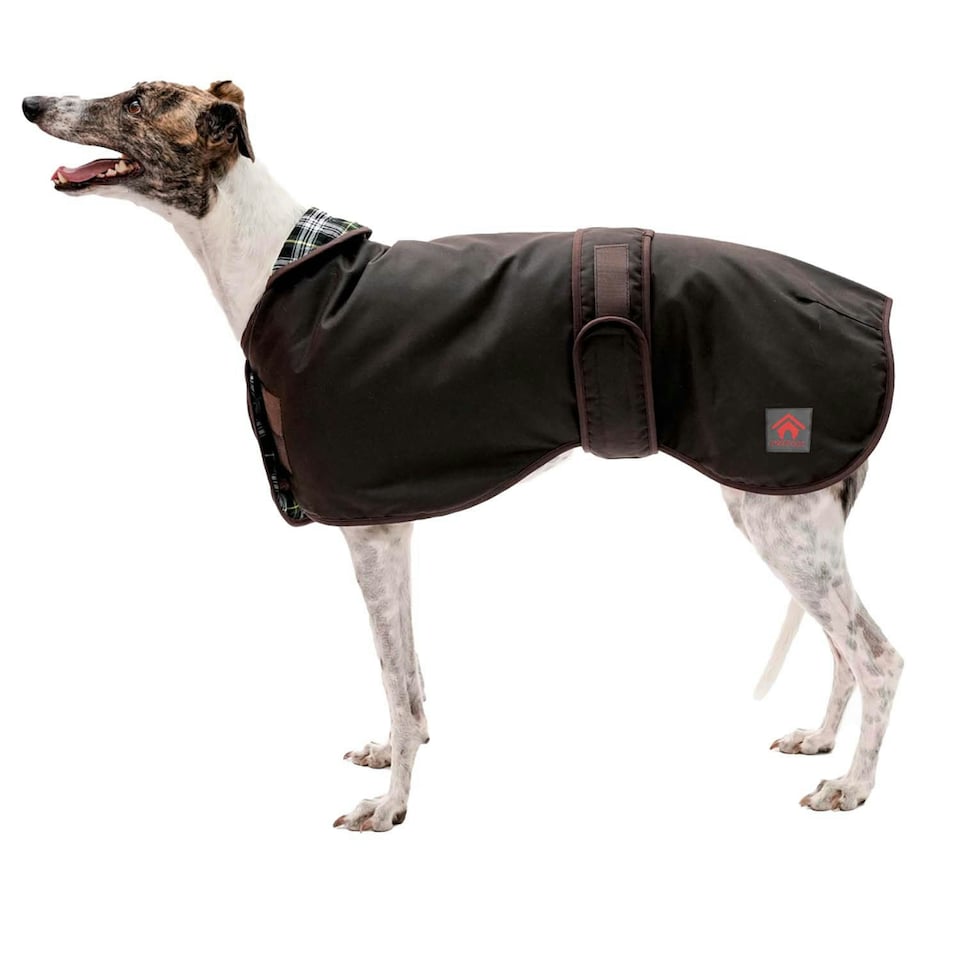 Firefoot Sighthound Waxed Dog Coat - Brown - 51cm