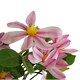 image 3 of 100cm Pink Magnolia Floral Spray Artificial