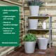 image 3 of Studio 4x 26cm Round Plastic Planter Grey