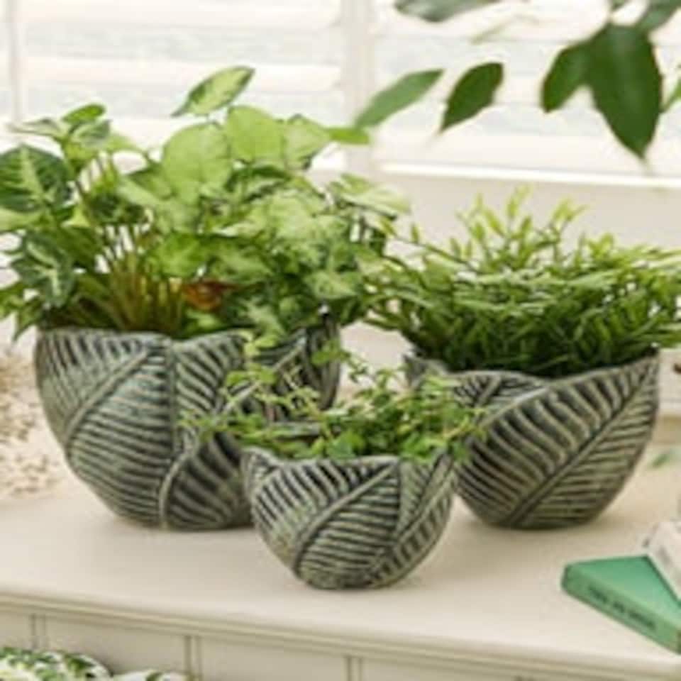 image 1 of Set of 3 Botanic Indoor Planters Green