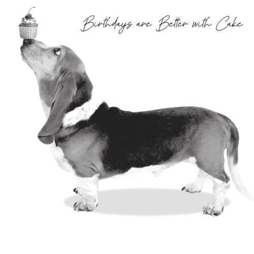 In Black & White, Birthday Card for Him, Male Birthday Card, Funny Birthday Card for Him