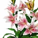 image 4 of 90cm (3ft) Artificial Lily Stargazer Style Lillies Plant Large Flowers Pink