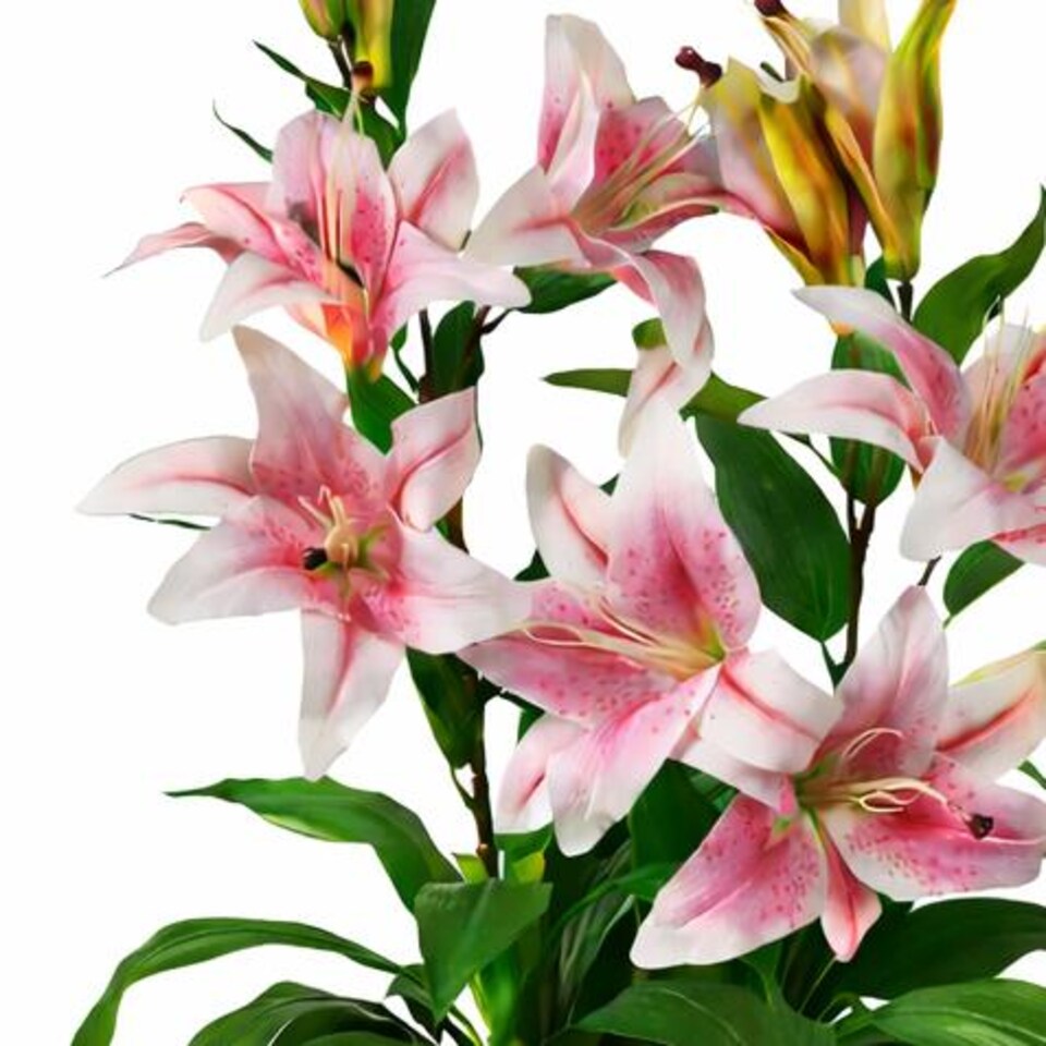 image 1 of 90cm (3ft) Artificial Lily Stargazer Style Lillies Plant Large Flowers Pink